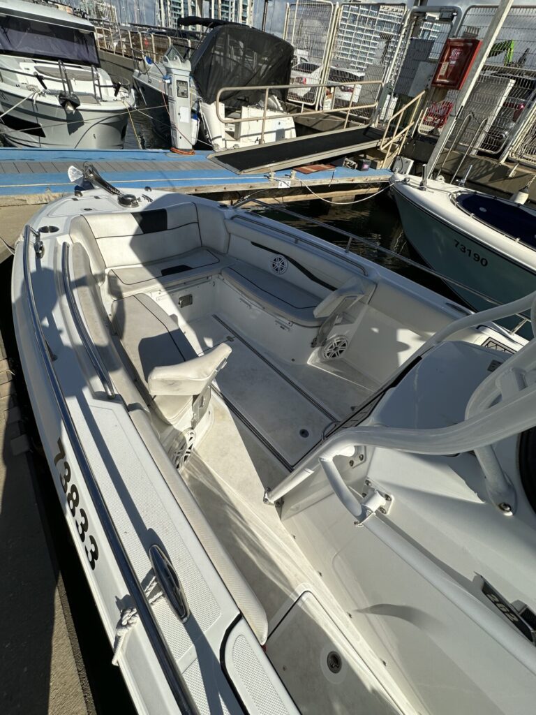 Wellcraft 262 Scarab 2021 סירת דייג יד שנייה - סטרים יאכטות