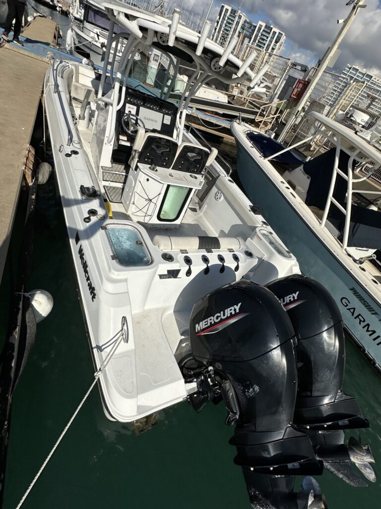 Wellcraft 262 Scarab 2021 סירת דייג יד שנייה - סטרים יאכטות